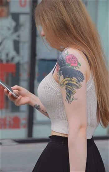 姬漫社会员账号