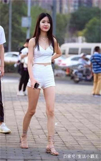 by一枚夹心饼 小说
