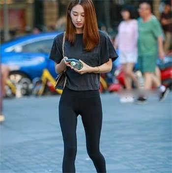 中文辣椒资源