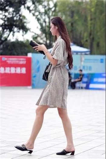 sw280图解 系列